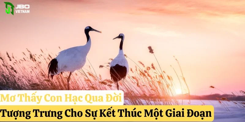 mơ thấy con hạc pkwin