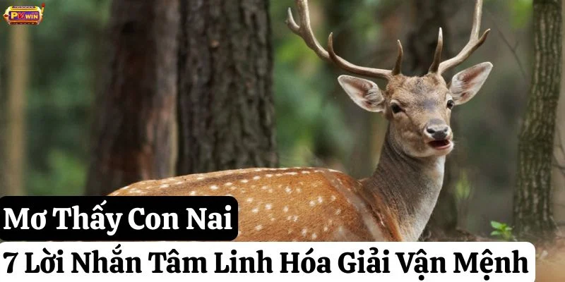Mơ Thấy Con Nai: 7 Lời Nhắn Tâm Linh Giúp Hóa Giải Vận Mệnh