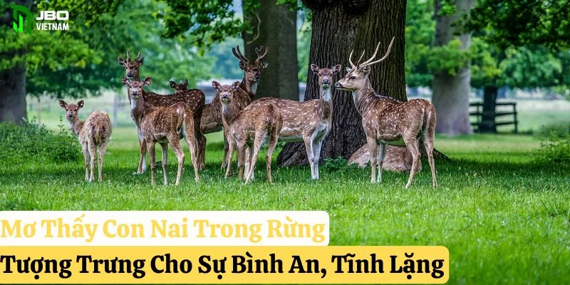 mơ thấy con nai pkwin