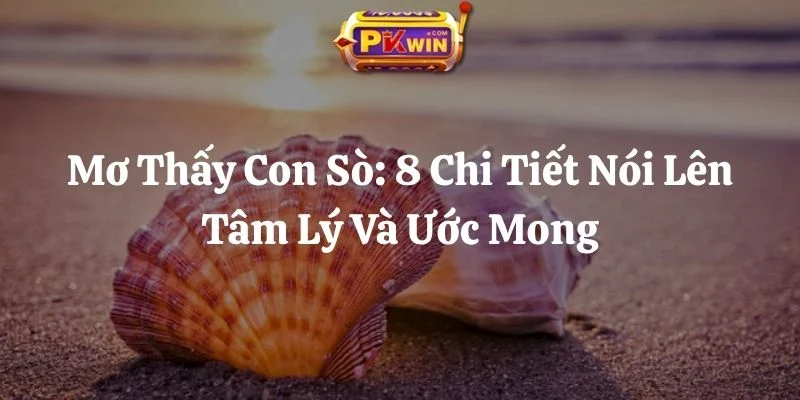 Mơ Thấy Con Sò: 8 Chi Tiết Nói Lên Tâm Lý Và Ước Mong