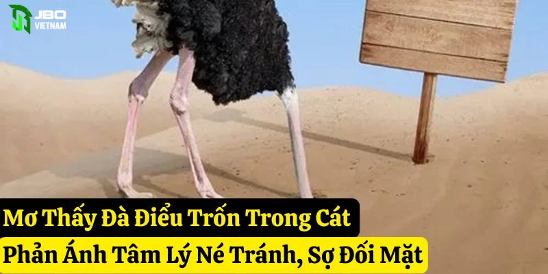 mơ thấy đà điểu