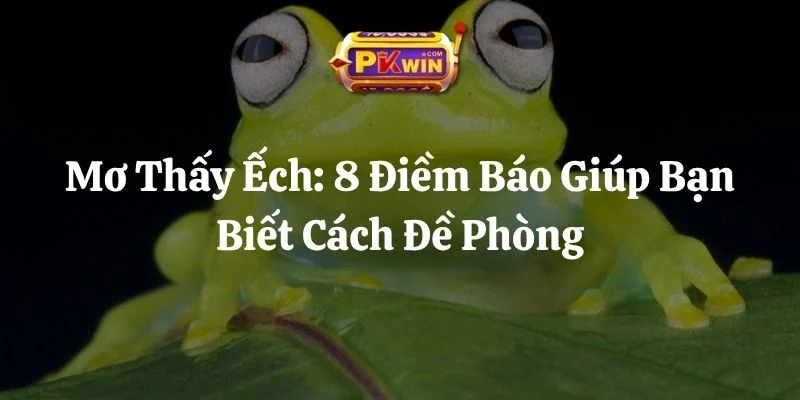 Mơ Thấy Ếch: 8 Điềm Báo Giúp Bạn Biết Cách Đề Phòng