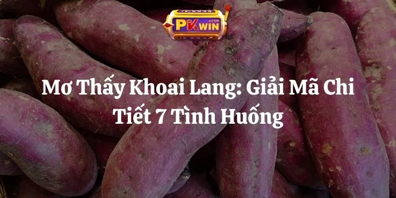 Mơ Thấy Khoai Lang: Giải Mã Chi Tiết 7 Tình Huống