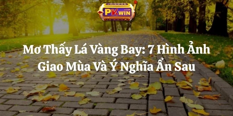 Mơ Thấy Lá Vàng Bay: 7 Hình Ảnh Giao Mùa Và Ý Nghĩa Ẩn Sau