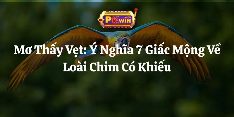 Mơ Thấy Vẹt: Ý Nghĩa 7 Giấc Mộng Về Loài Chim Có Khiếu
