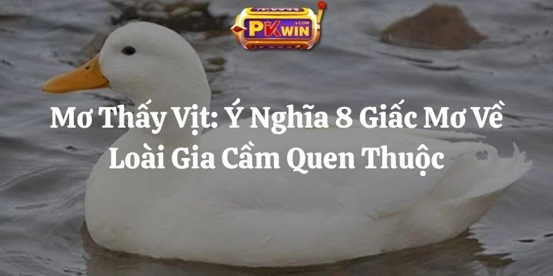 Mơ Thấy Vịt: Ý Nghĩa 8 Giấc Mơ Về Loài Gia Cầm Quen Thuộc