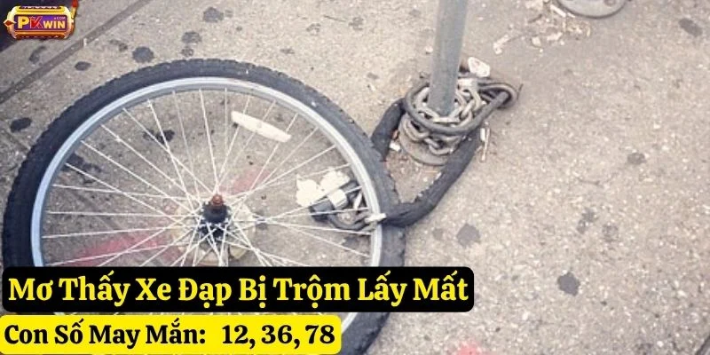 mơ mất xe đạp pkwin
