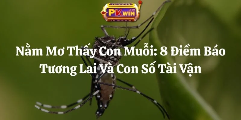 Nằm Mơ Thấy Con Muỗi: 8 Điềm Báo Tương Lai Và Con Số Tài Vận