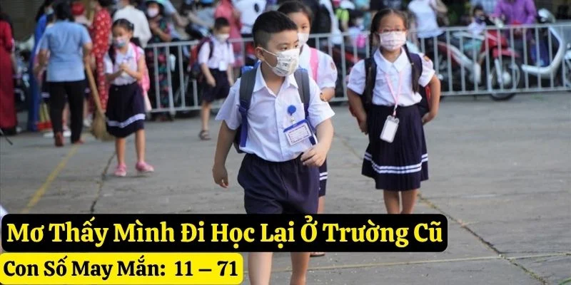 nằm mơ thấy đi học pkwin