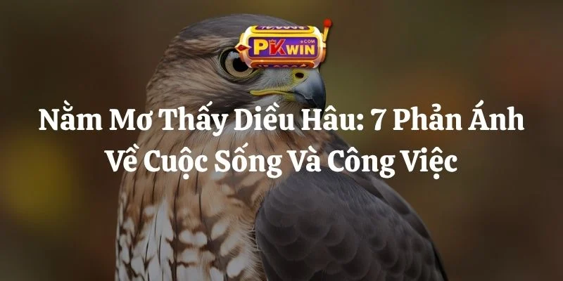 Nằm Mơ Thấy Diều Hâu: 7 Phản Ánh Về Cuộc Sống Và Công Việc