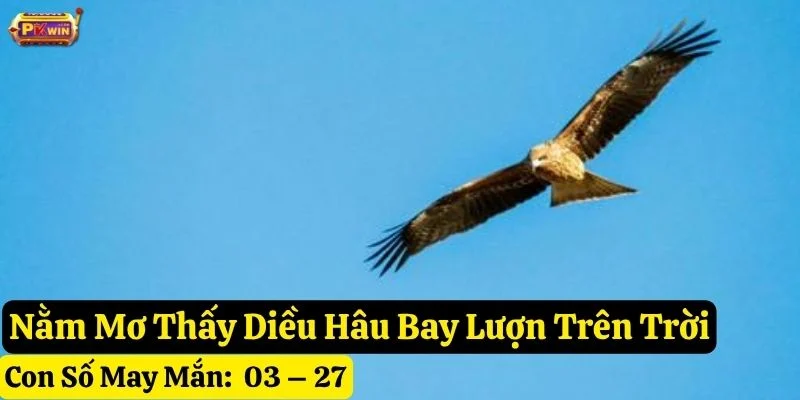 nằm mơ thấy diều hâu pkwin