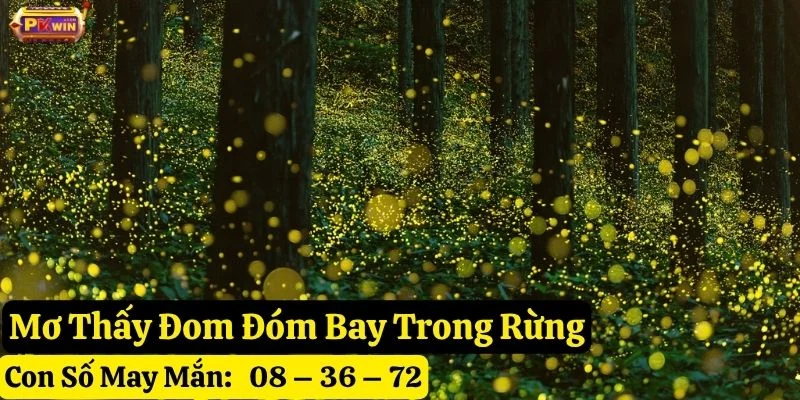 mơ thấy đom đóm pkwin