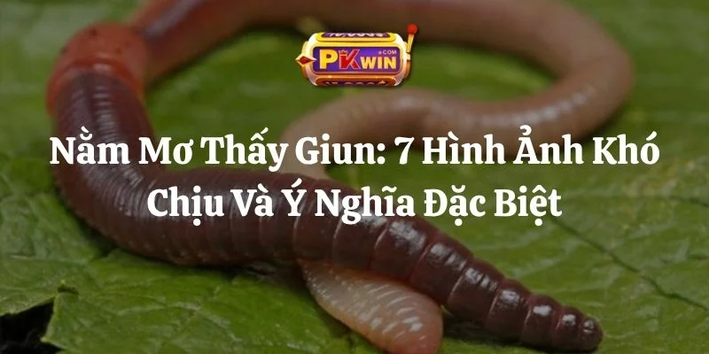 Nằm Mơ Thấy Giun: 7 Hình Ảnh Khó Chịu Và Ý Nghĩa Đặc Biệt