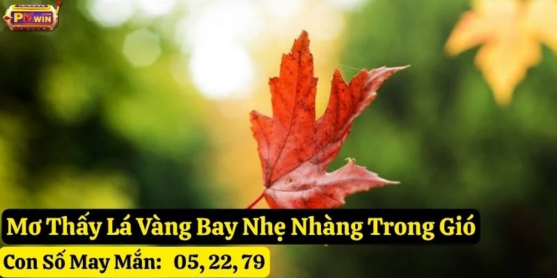mơ thấy lá vàng bay pkwin