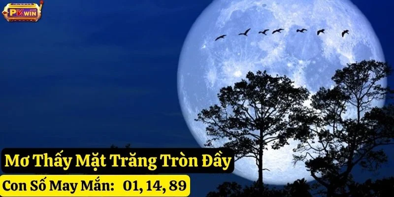 mơ thấy mặt trăng pkwin