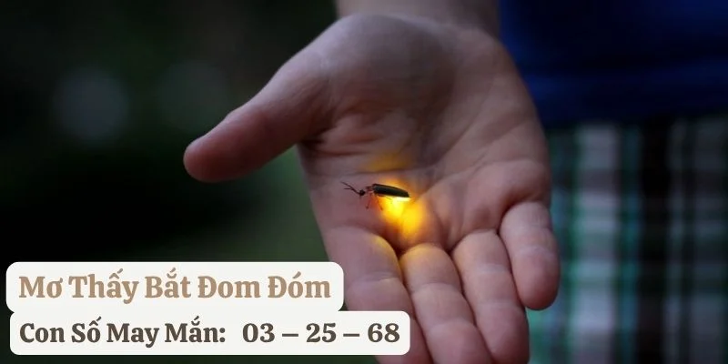 mơ thấy đom đóm