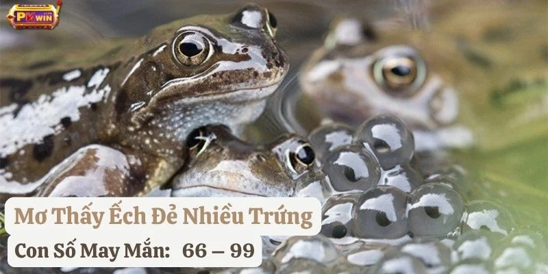 nằm mơ thấy ếch