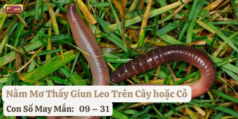 nằm mơ thấy giun