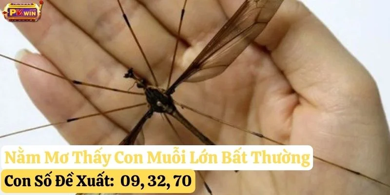 nằm mơ thấy con muỗi