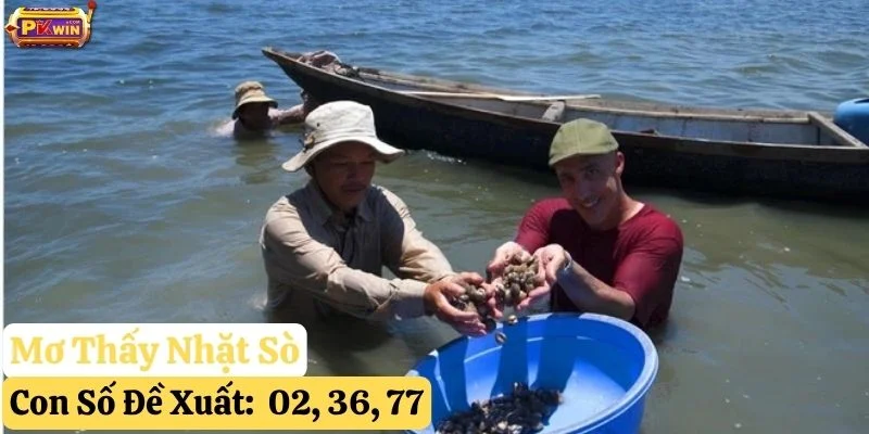 nằm mơ thấy con sò