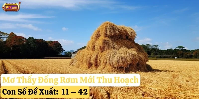 mơ thấy đống rơm