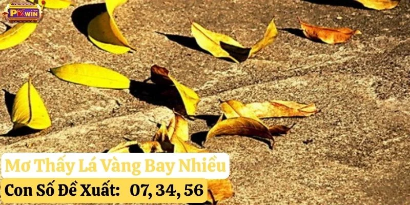 nằm mơ thấy lá vàng bay