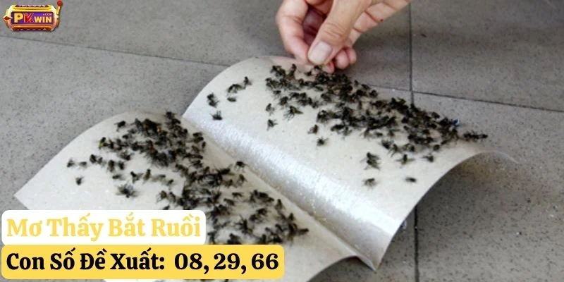 nằm mơ thấy ruồi