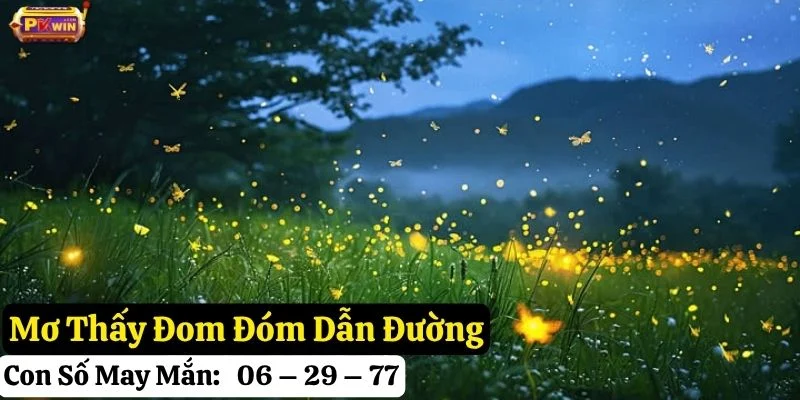 nằm mơ đom đóm