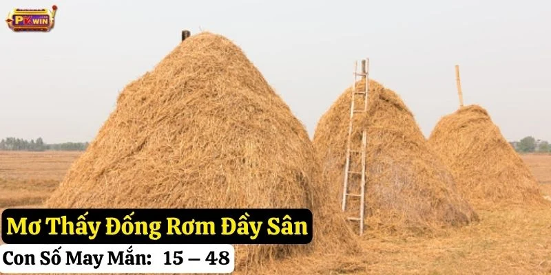 nằm mơ thấy đống rơm