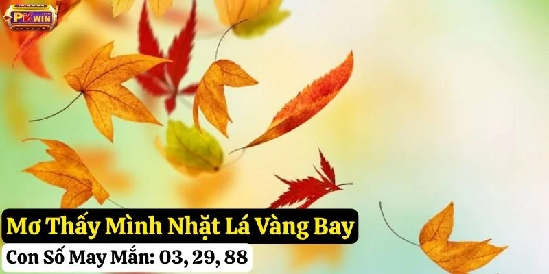 nằm mơ lá vàng bay