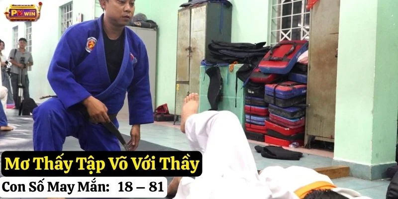 mơ thấy tập võ pkwin