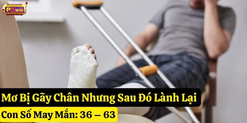 mơ bị gãy chân
