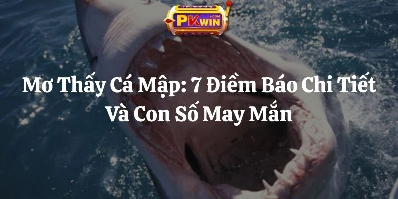 Mơ Thấy Cá Mập: 7 Điềm Báo Chi Tiết Và Con Số May Mắn