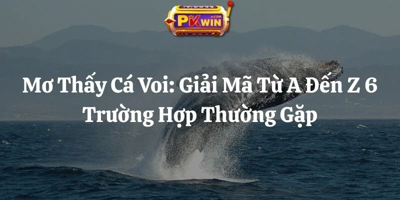 Mơ Thấy Cá Voi: Giải Mã Từ A Đến Z 6 Trường Hợp Thường Gặp