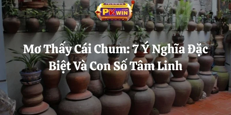 Mơ Thấy Cái Chum: 7 Ý Nghĩa Đặc Biệt Và Con Số Tâm Linh