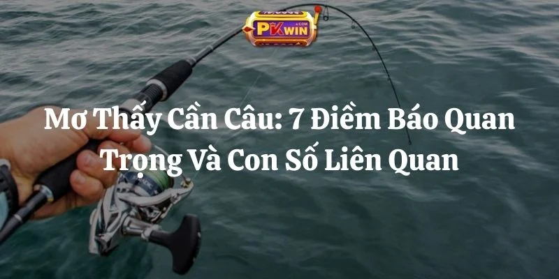 Mơ Thấy Cần Câu: 7 Điềm Báo Quan Trọng Và Con Số Liên Quan