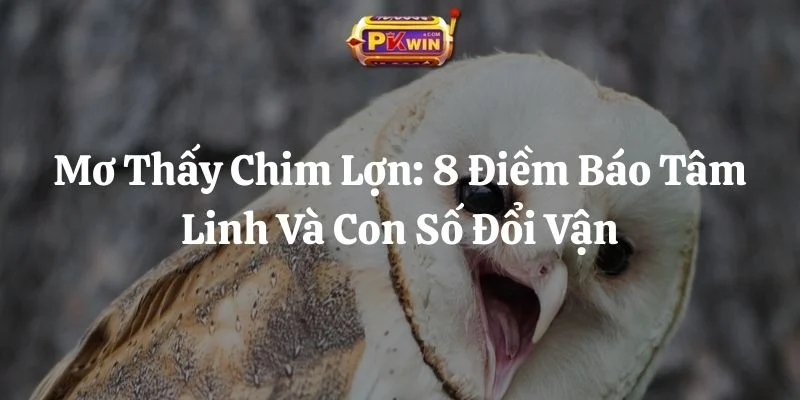 Mơ Thấy Chim Lợn: 8 Điềm Báo Tâm Linh Và Con Số Đổi Vận