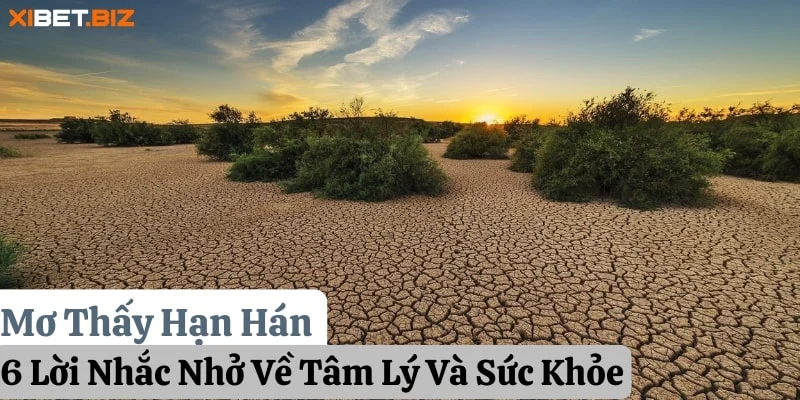 Mơ Thấy Hạn Hán: 6 Lời Nhắc Nhở Về Tâm Lý Và Sức Khỏe