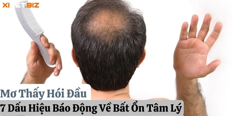 Mơ Thấy Hói Đầu: 7 Dấu Hiệu Báo Động Về Bất Ổn Tâm Lý