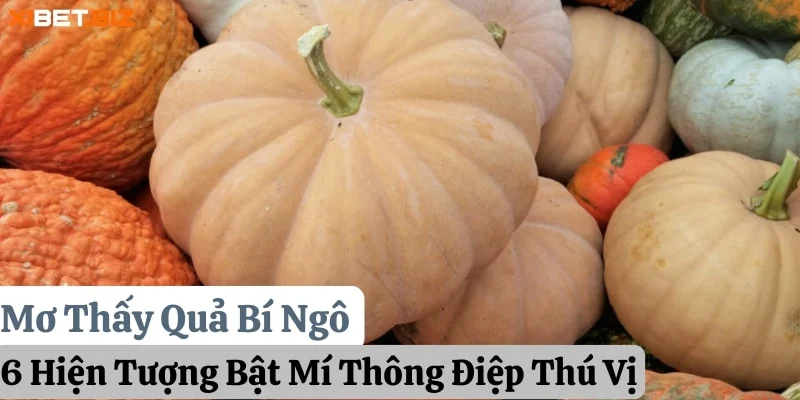 Mơ Thấy Quả Bí Ngô: 6 Hiện Tượng Bật Mí Thông Điệp Thú Vị