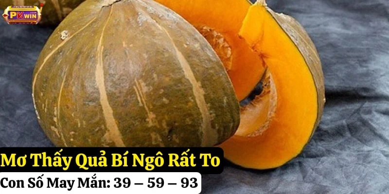 mơ-thấy-quả-bí-ngô nằm mơ thấy quả bí ngô