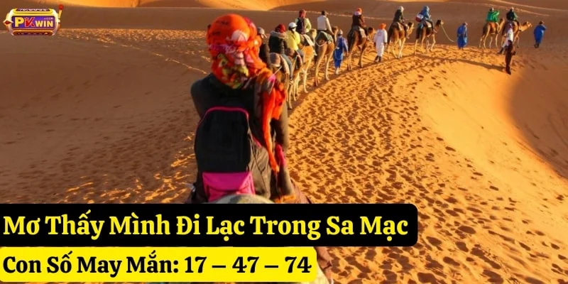 mơ thấy sa mạc