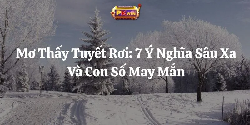 Mơ Thấy Tuyết Rơi: 7 Ý Nghĩa Sâu Xa Và Con Số May Mắn