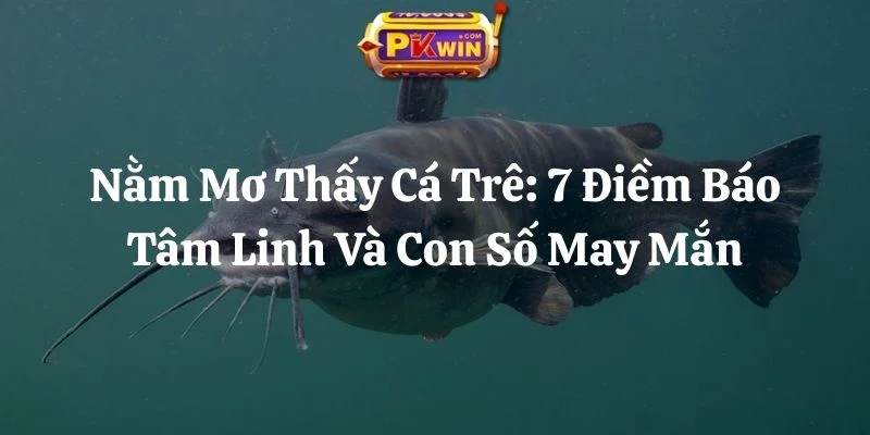 Nằm Mơ Thấy Cá Trê: 7 Điềm Báo Tâm Linh Và Con Số May Mắn