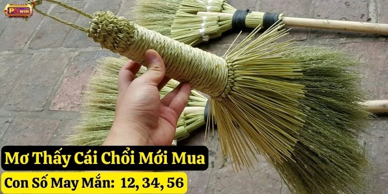 mơ thấy cái chổi pkwin