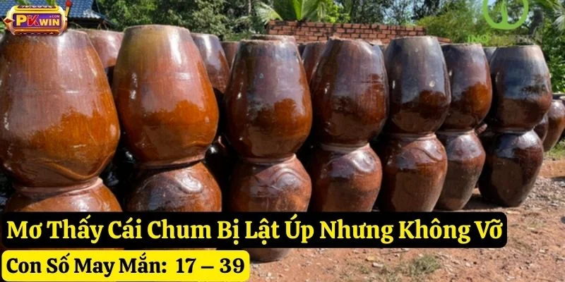 mơ thấy cái chum pkwin