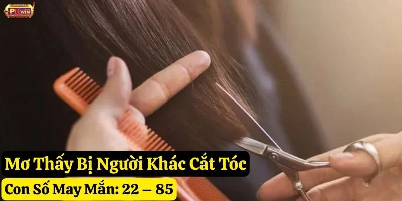 mơ thấy cắt tóc pkwin