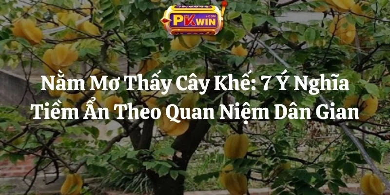 Nằm Mơ Thấy Cây Khế: 7 Ý Nghĩa Tiềm Ẩn Theo Quan Niệm Dân Gian