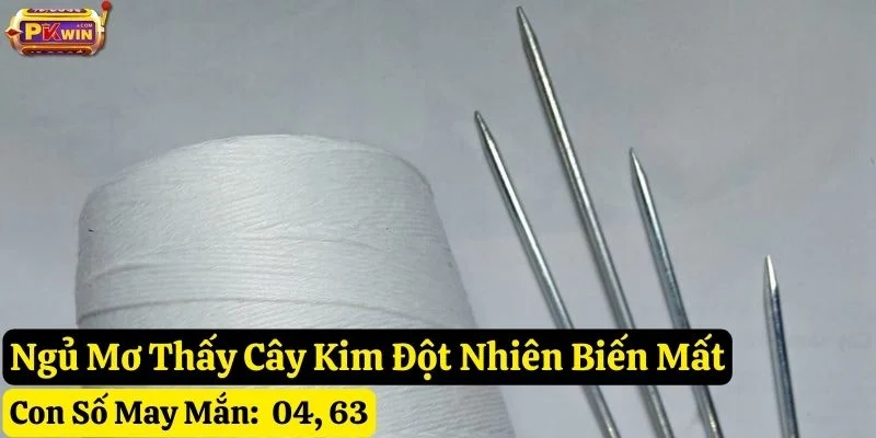 ngủ mơ thấy cây kim pkwin