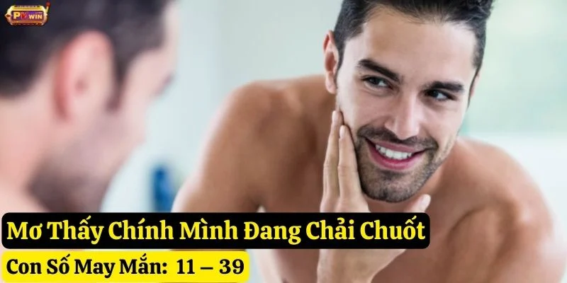 nằm mơ thấy chải chuốt pkwin